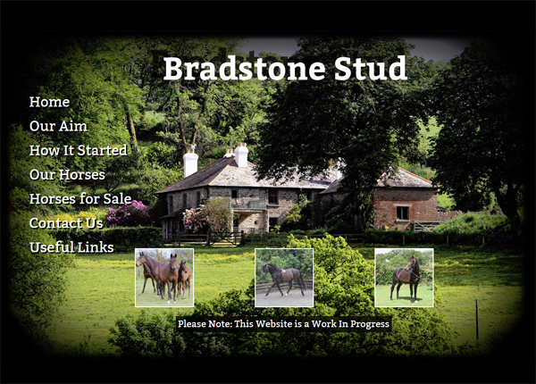 Bradstone Stud